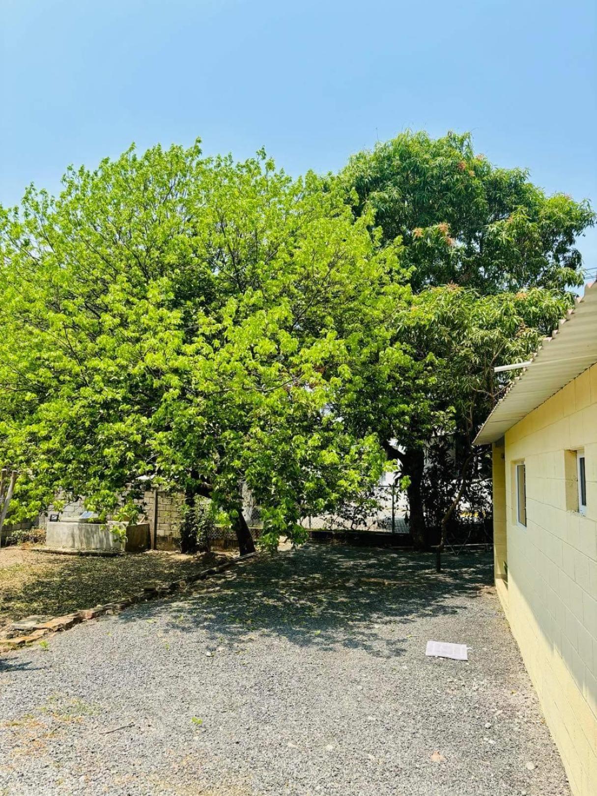 Hostal Camila'S Tamanique Exteriör bild